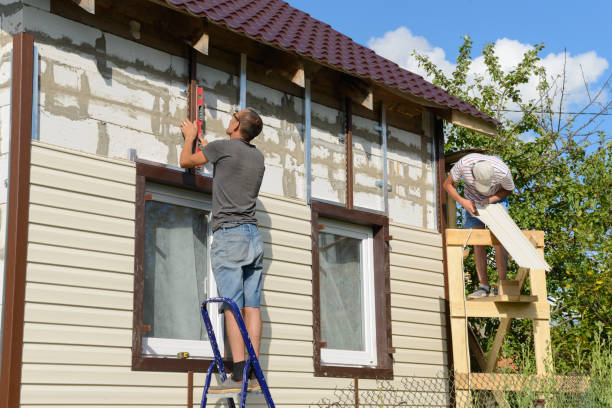 Professional Junk Removal in Southern View, IL